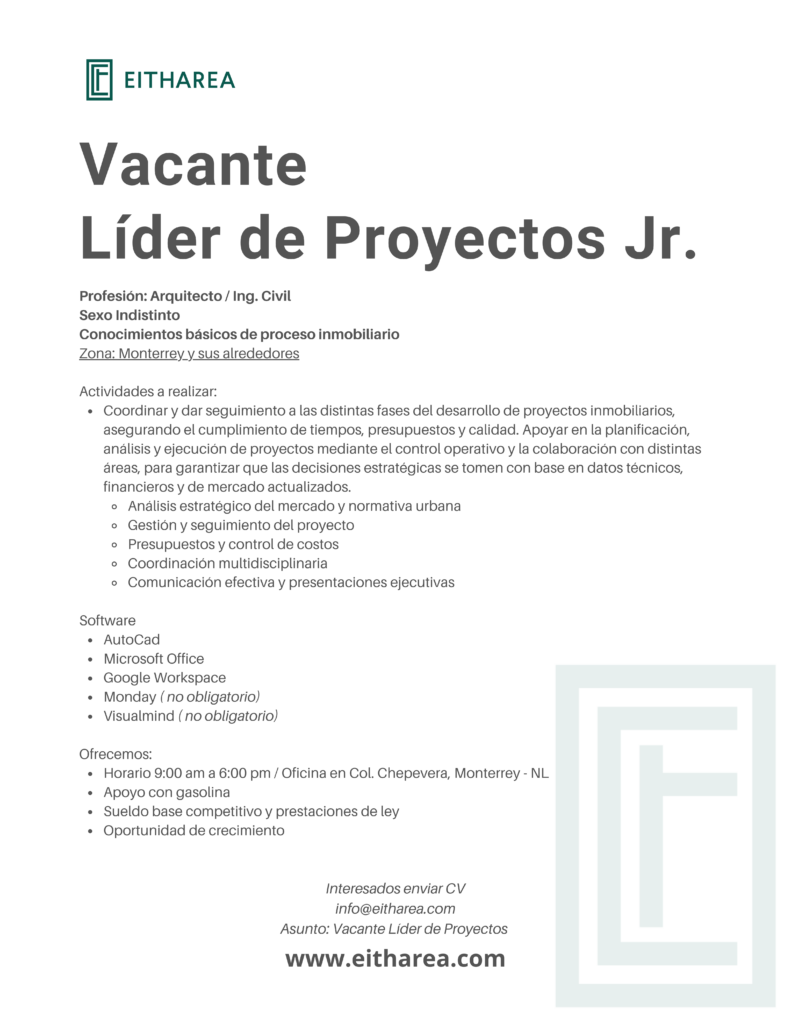 LIDER DE PROYECTO JR