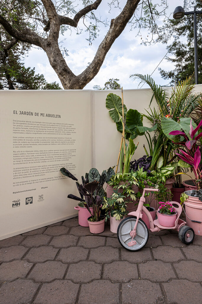 El Jardín de Mi Abuelita