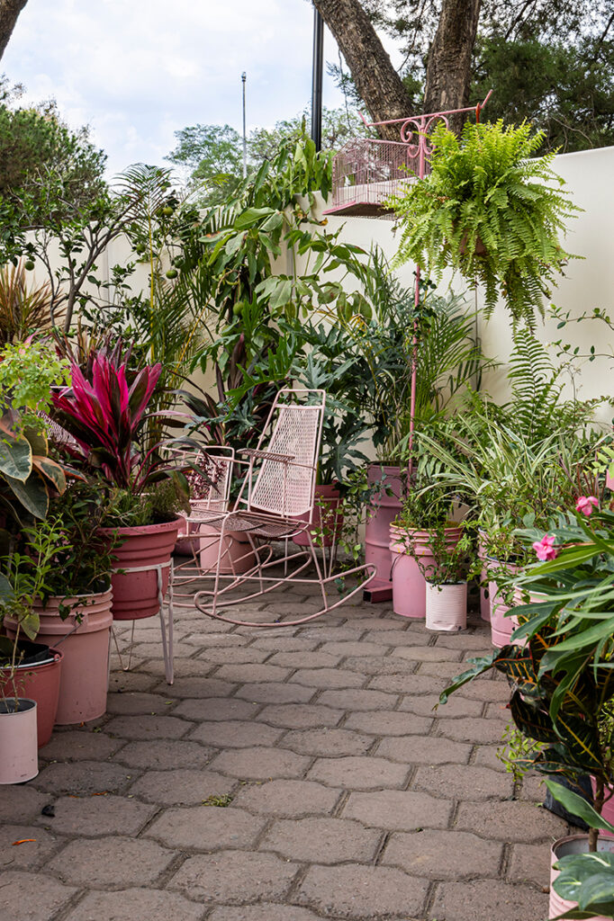 El Jardín de Mi Abuelita